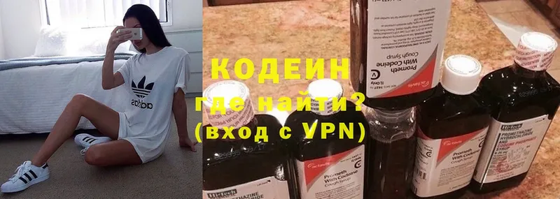 Кодеин Purple Drank  Пошехонье 